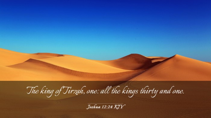 Picture 03 - Joshua 12:24 KJV Desktop Wallpaper - The king of Tirzah, one: all the kings thirty and - Desktop Bible Verse Wallpaper