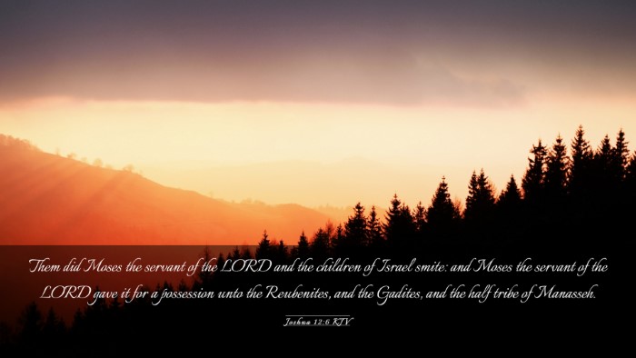 Picture 03 - Joshua 12:6 KJV Desktop Wallpaper - Them did Moses the servant of the LORD and the - Desktop Bible Verse Wallpaper