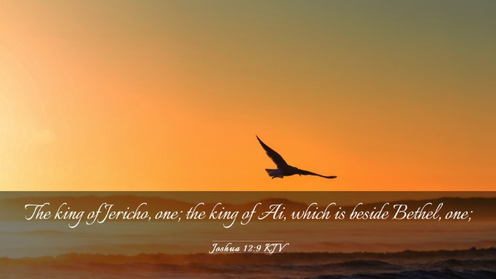 Picture 03 - Joshua 12:9 KJV Desktop Wallpaper - The king of Jericho, one; the king of Ai, which - Desktop Bible Verse Wallpaper