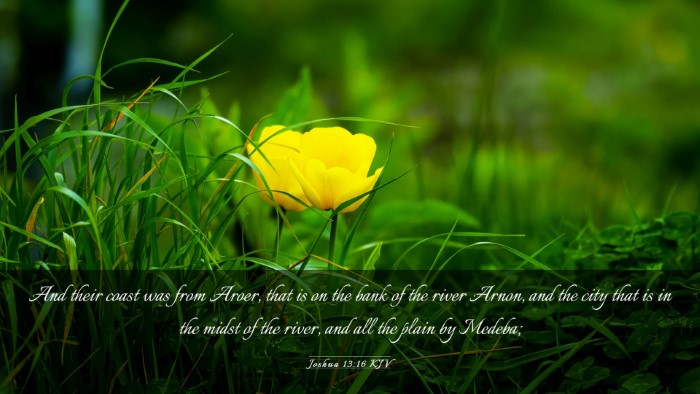 Picture 03 - Joshua 13:16 KJV Desktop Wallpaper - And their coast was from Aroer, that is on the - Desktop Bible Verse Wallpaper