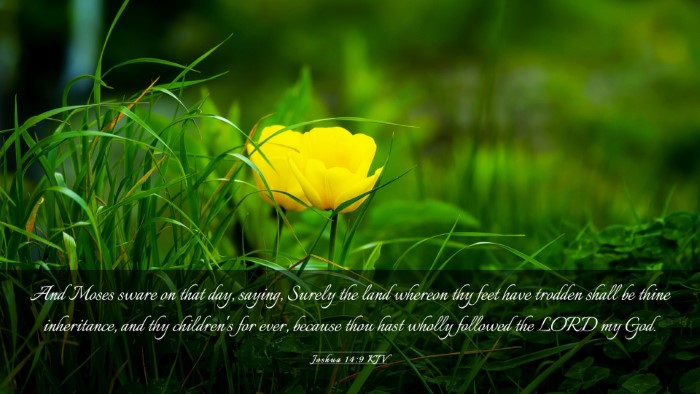 Picture 03 - Joshua 14:9 KJV Desktop Wallpaper - And Moses sware on that day, saying, Surely the - Desktop Bible Verse Wallpaper