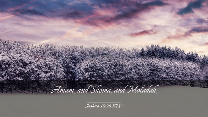 Picture 03 - Joshua 15:26 KJV Desktop Wallpaper - Amam, and Shema, and - Desktop Bible Verse Wallpaper