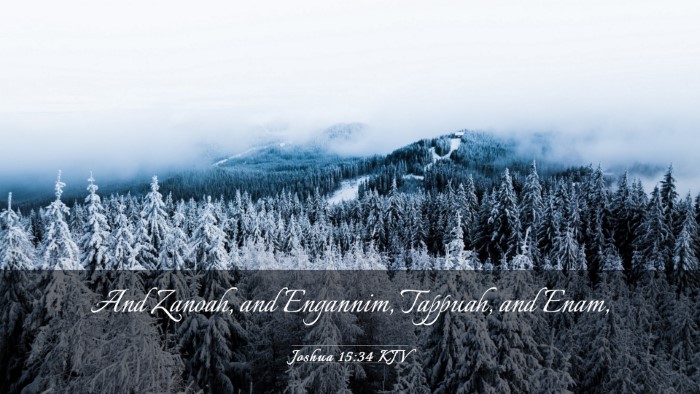 Picture 03 - Joshua 15:34 KJV Desktop Wallpaper - And Zanoah, and Engannim, Tappuah, and - Desktop Bible Verse Wallpaper