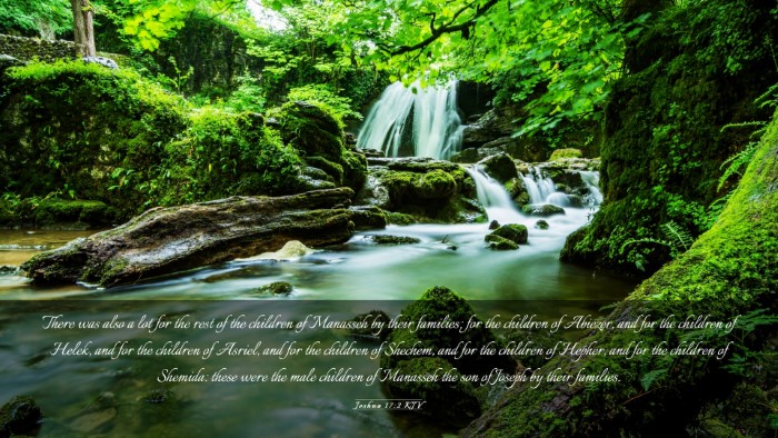 Picture 03 - Joshua 17:2 KJV Desktop Wallpaper - There was also a lot for the rest of the children - Desktop Bible Verse Wallpaper