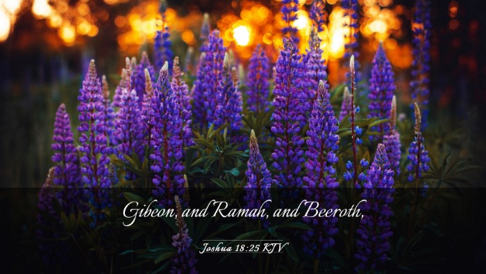 Picture 03 - Joshua 18:25 KJV Desktop Wallpaper - Gibeon, and Ramah, and - Desktop Bible Verse Wallpaper