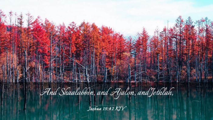 Picture 03 - Joshua 19:42 KJV Desktop Wallpaper - And Shaalabbin, and Ajalon, and - Desktop Bible Verse Wallpaper