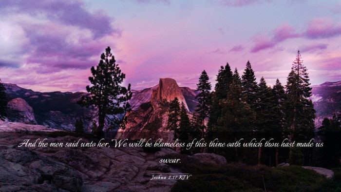 Picture 03 - Joshua 2:17 KJV Desktop Wallpaper - And the men said unto her, We will be blameless - Desktop Bible Verse Wallpaper