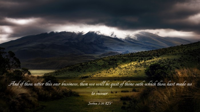Picture 03 - Joshua 2:20 KJV Desktop Wallpaper - And if thou utter this our business, then we will - Desktop Bible Verse Wallpaper