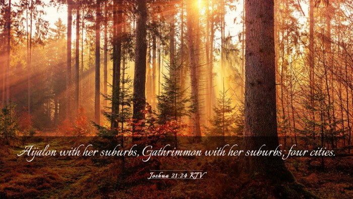 Picture 03 - Joshua 21:24 KJV Desktop Wallpaper - Aijalon with her suburbs, Gathrimmon with her - Desktop Bible Verse Wallpaper