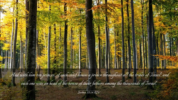 Picture 03 - Joshua 22:14 KJV Desktop Wallpaper - And with him ten princes, of each chief house a - Desktop Bible Verse Wallpaper