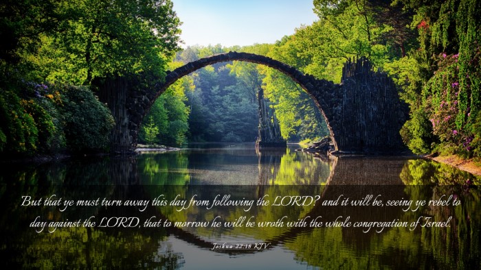 Picture 03 - Joshua 22:18 KJV Desktop Wallpaper - But that ye must turn away this day from - Desktop Bible Verse Wallpaper
