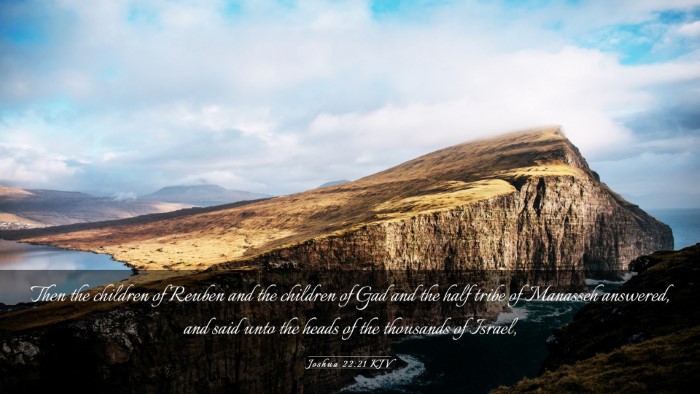 Picture 03 - Joshua 22:21 KJV Desktop Wallpaper - Then the children of Reuben and the children of - Desktop Bible Verse Wallpaper