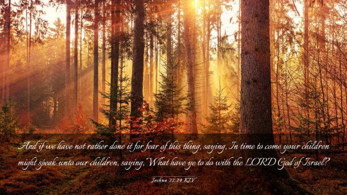 Picture 03 - Joshua 22:24 KJV Desktop Wallpaper - And if we have not rather done it for fear of - Desktop Bible Verse Wallpaper