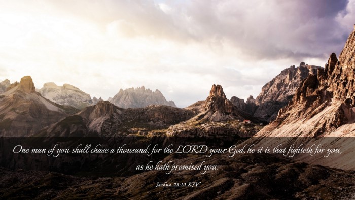 Picture 03 - Joshua 23:10 KJV Desktop Wallpaper - One man of you shall chase a thousand: for the - Desktop Bible Verse Wallpaper
