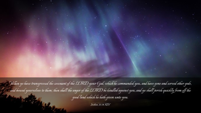 Picture 03 - Joshua 23:16 KJV Desktop Wallpaper - When ye have transgressed the covenant of the - Desktop Bible Verse Wallpaper