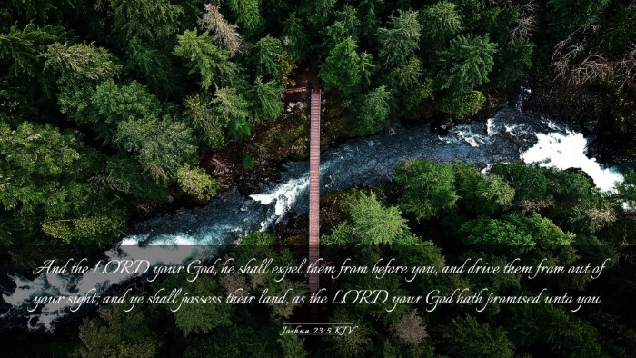 Picture 03 - Joshua 23:5 KJV Desktop Wallpaper - And the LORD your God, he shall expel them from - Desktop Bible Verse Wallpaper