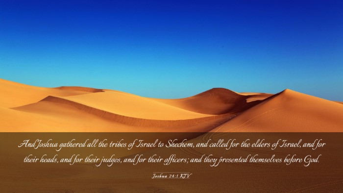 Picture 03 - Joshua 24:1 KJV Desktop Wallpaper - And Joshua gathered all the tribes of Israel to - Desktop Bible Verse Wallpaper