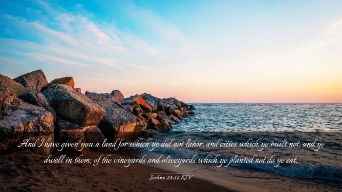 Picture 03 - Joshua 24:13 KJV Desktop Wallpaper - And I have given you a land for which ye did not - Desktop Bible Verse Wallpaper