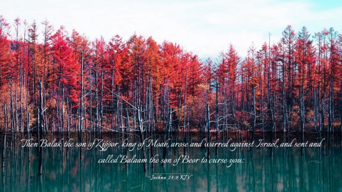 Picture 03 - Joshua 24:9 KJV Desktop Wallpaper - Then Balak the son of Zippor, king of Moab, arose - Desktop Bible Verse Wallpaper