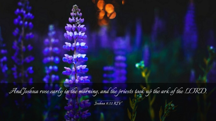 Picture 03 - Joshua 6:12 KJV Desktop Wallpaper - And Joshua rose early in the morning, and the - Desktop Bible Verse Wallpaper