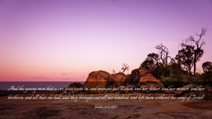 Picture 03 - Joshua 6:23 KJV Desktop Wallpaper - And the young men that were spies went in, and - Desktop Bible Verse Wallpaper