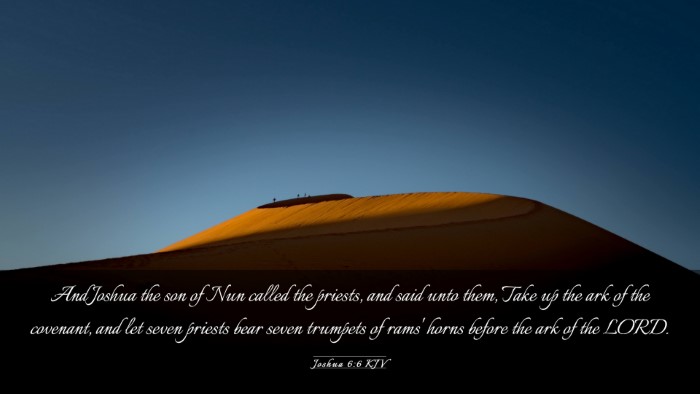 Picture 03 - Joshua 6:6 KJV Desktop Wallpaper - And Joshua the son of Nun called the priests, and - Desktop Bible Verse Wallpaper