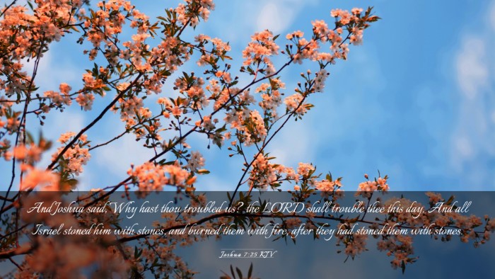 Picture 03 - Joshua 7:25 KJV Desktop Wallpaper - And Joshua said, Why hast thou troubled us? the - Desktop Bible Verse Wallpaper