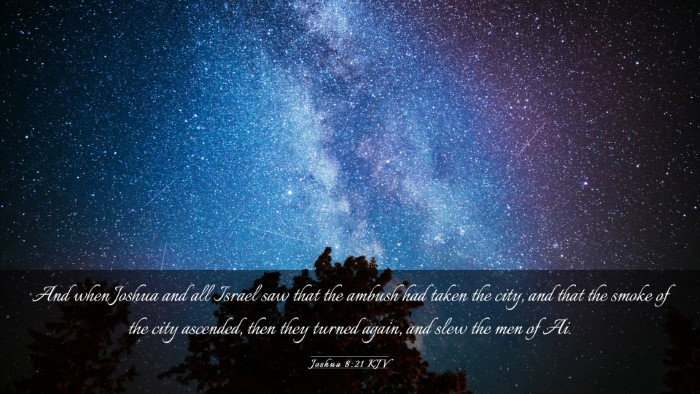 Picture 03 - Joshua 8:21 KJV Desktop Wallpaper - And when Joshua and all Israel saw that the - Desktop Bible Verse Wallpaper