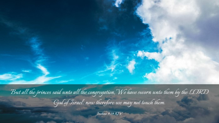 Picture 03 - Joshua 9:19 KJV Desktop Wallpaper - But all the princes said unto all the - Desktop Bible Verse Wallpaper