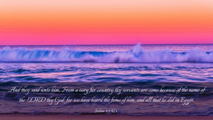 Picture 03 - Joshua 9:9 KJV Desktop Wallpaper - And they said unto him, From a very far country - Desktop Bible Verse Wallpaper