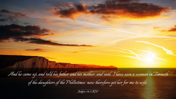 Picture 03 - Judges 14:2 KJV Desktop Wallpaper - And he came up, and told his father and his - Desktop Bible Verse Wallpaper