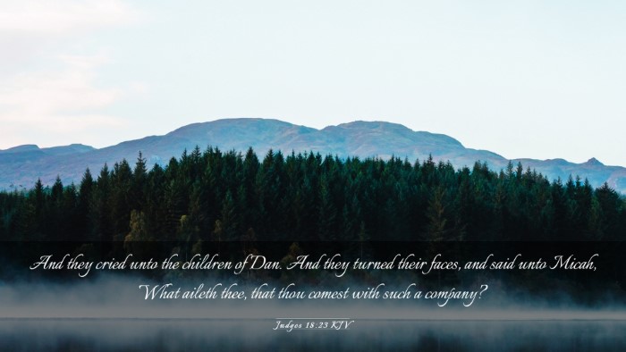 Picture 03 - Judges 18:23 KJV Desktop Wallpaper - And they cried unto the children of Dan. And they - Desktop Bible Verse Wallpaper