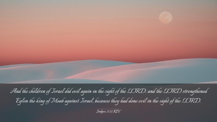 Picture 03 - Judges 3:12 KJV Desktop Wallpaper - And the children of Israel did evil again in the - Desktop Bible Verse Wallpaper