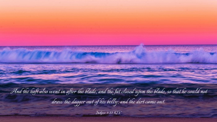 Picture 03 - Judges 3:22 KJV Desktop Wallpaper - And the haft also went in after the blade; and - Desktop Bible Verse Wallpaper