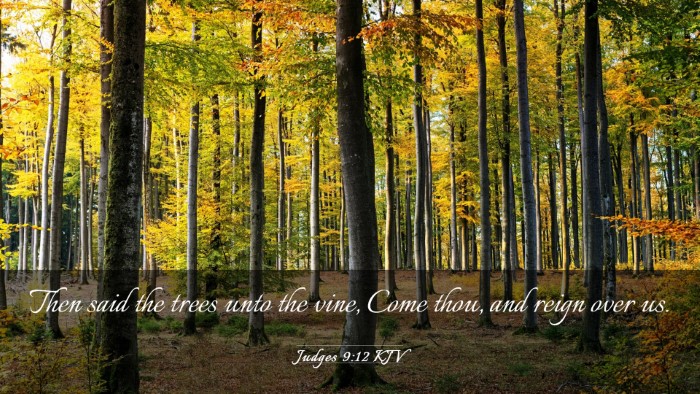 Picture 03 - Judges 9:12 KJV Desktop Wallpaper - Then said the trees unto the vine, Come thou, and - Desktop Bible Verse Wallpaper
