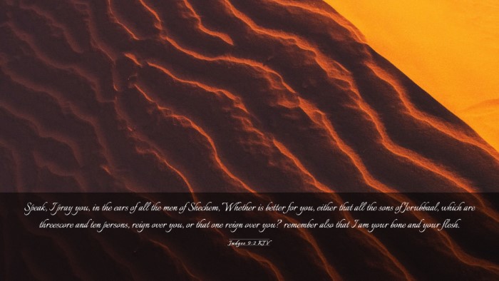 Picture 03 - Judges 9:2 KJV Desktop Wallpaper - Speak, I pray you, in the ears of all the men of - Desktop Bible Verse Wallpaper