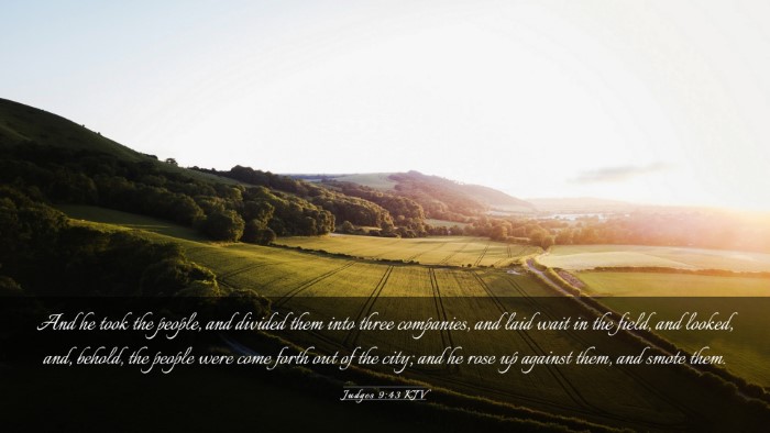 Picture 03 - Judges 9:43 KJV Desktop Wallpaper - And he took the people, and divided them into - Desktop Bible Verse Wallpaper
