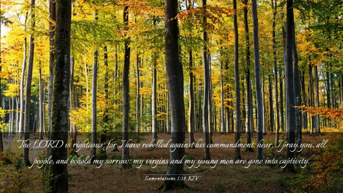 Picture 03 - Lamentations 1:18 KJV Desktop Wallpaper - The LORD is righteous; for I have rebelled - Desktop Bible Verse Wallpaper