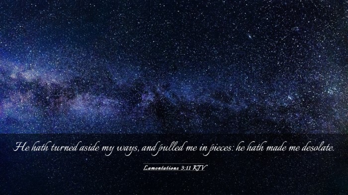 Picture 03 - Lamentations 3:11 KJV Desktop Wallpaper - He hath turned aside my ways, and pulled me in - Desktop Bible Verse Wallpaper