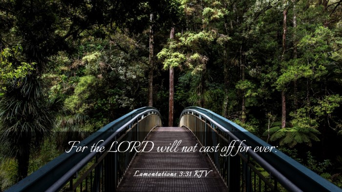 Picture 03 - Lamentations 3:31 KJV Desktop Wallpaper - For the LORD will not cast off for - Desktop Bible Verse Wallpaper