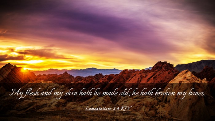 Picture 03 - Lamentations 3:4 KJV Desktop Wallpaper - My flesh and my skin hath he made old; he hath - Desktop Bible Verse Wallpaper