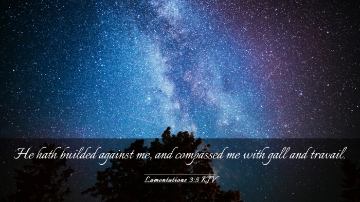 Picture 03 - Lamentations 3:5 KJV Desktop Wallpaper - He hath builded against me, and compassed me with - Desktop Bible Verse Wallpaper