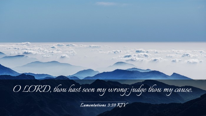 Picture 03 - Lamentations 3:59 KJV Desktop Wallpaper - O LORD, thou hast seen my wrong: judge thou my - Desktop Bible Verse Wallpaper
