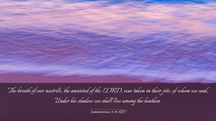 Picture 03 - Lamentations 4:20 KJV Desktop Wallpaper - The breath of our nostrils, the anointed of the - Desktop Bible Verse Wallpaper