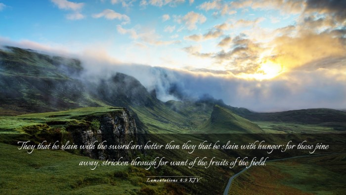 Picture 03 - Lamentations 4:9 KJV Desktop Wallpaper - They that be slain with the sword are better than - Desktop Bible Verse Wallpaper