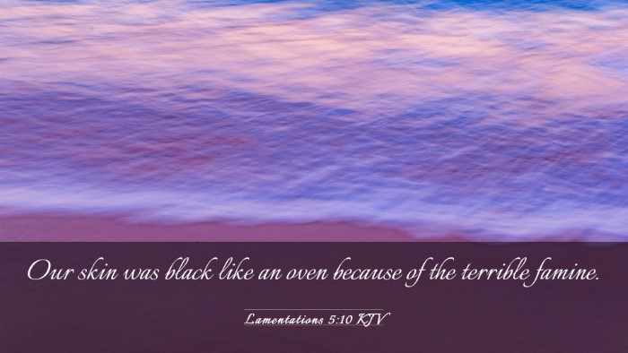 Picture 03 - Lamentations 5:10 KJV Desktop Wallpaper - Our skin was black like an oven because of the - Desktop Bible Verse Wallpaper