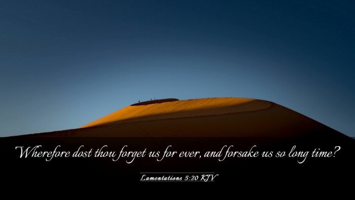 Picture 03 - Lamentations 5:20 KJV Desktop Wallpaper - Wherefore dost thou forget us for ever, and - Desktop Bible Verse Wallpaper
