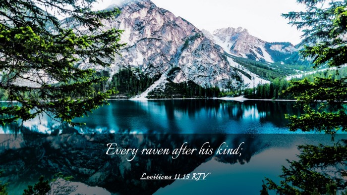Picture 03 - Leviticus 11:15 KJV Desktop Wallpaper - Every raven after his - Desktop Bible Verse Wallpaper