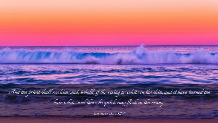 Picture 03 - Leviticus 13:10 KJV Desktop Wallpaper - And the priest shall see him: and, behold, if the - Desktop Bible Verse Wallpaper