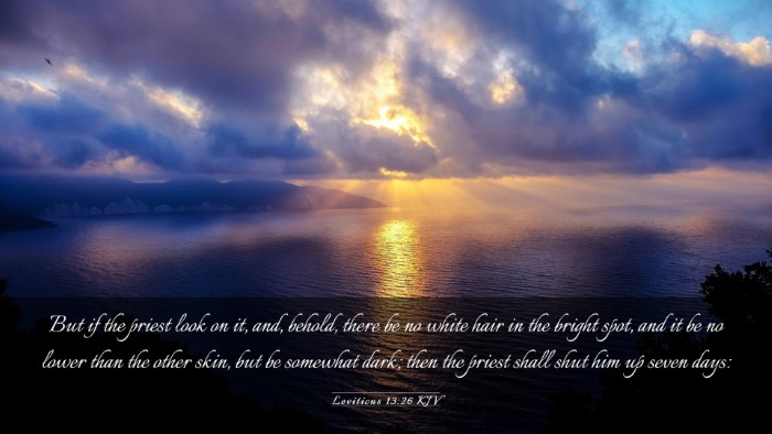 Picture 03 - Leviticus 13:26 KJV Desktop Wallpaper - But if the priest look on it, and, behold, there - Desktop Bible Verse Wallpaper